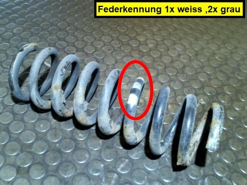 Hinterfeder links - hinterfeder,
